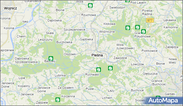 mapa Pleśna powiat tarnowski, Pleśna powiat tarnowski na mapie Targeo