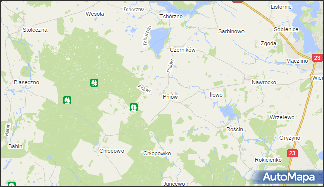 mapa Pniów gmina Myślibórz, Pniów gmina Myślibórz na mapie Targeo