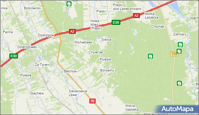 mapa Polesie gmina Nieborów, Polesie gmina Nieborów na mapie Targeo