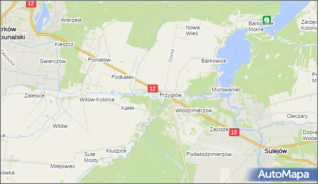 mapa Przygłów, Przygłów na mapie Targeo