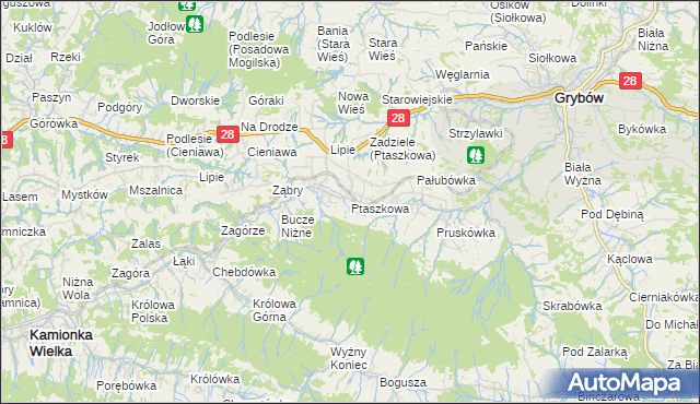 mapa Ptaszkowa, Ptaszkowa na mapie Targeo