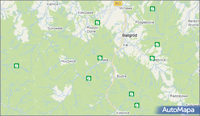 mapa Rabe gmina Baligród, Rabe gmina Baligród na mapie Targeo