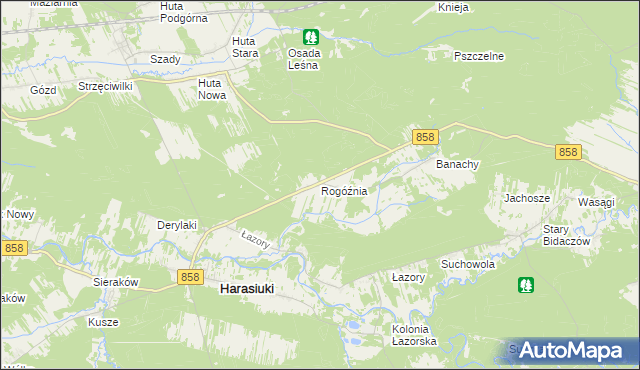 mapa Rogóźnia gmina Harasiuki, Rogóźnia gmina Harasiuki na mapie Targeo