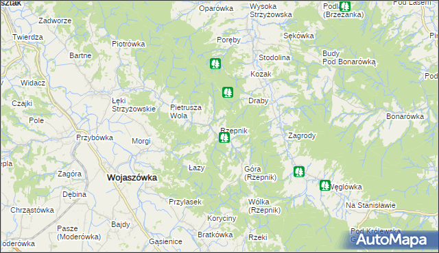 mapa Rzepnik, Rzepnik na mapie Targeo