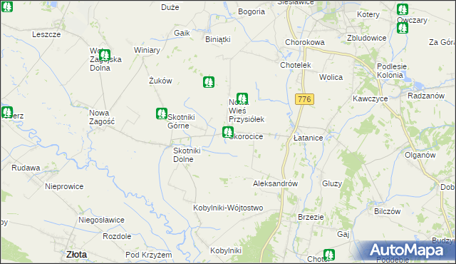 mapa Skorocice, Skorocice na mapie Targeo