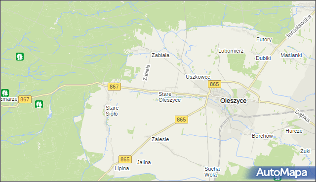 mapa Stare Oleszyce, Stare Oleszyce na mapie Targeo