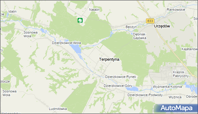 mapa Terpentyna, Terpentyna na mapie Targeo