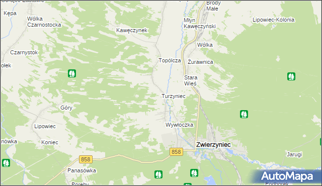 mapa Turzyniec gmina Zwierzyniec, Turzyniec gmina Zwierzyniec na mapie Targeo