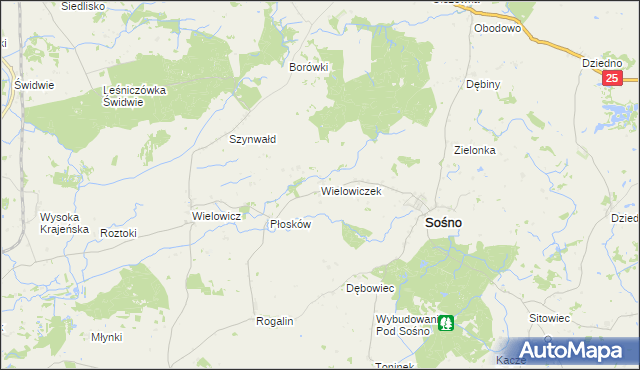 mapa Wielowiczek, Wielowiczek na mapie Targeo