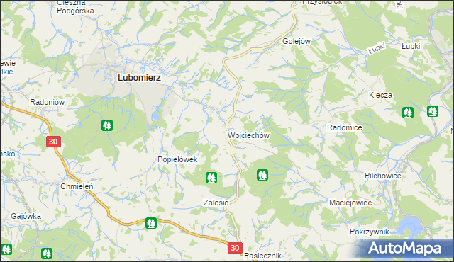 mapa Wojciechów gmina Lubomierz, Wojciechów gmina Lubomierz na mapie Targeo