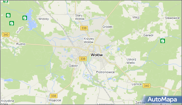 mapa Wołów, Wołów na mapie Targeo