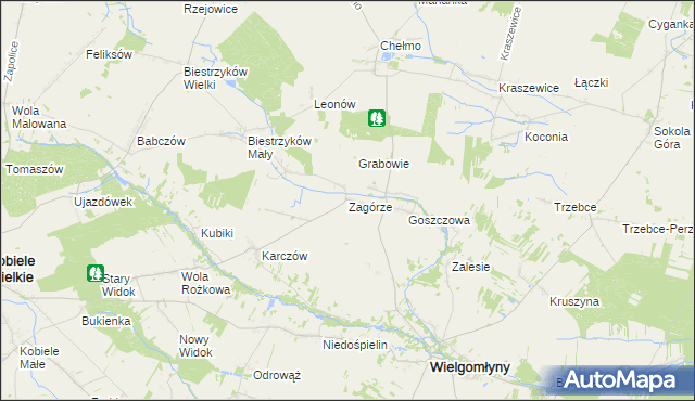 mapa Zagórze gmina Wielgomłyny, Zagórze gmina Wielgomłyny na mapie Targeo