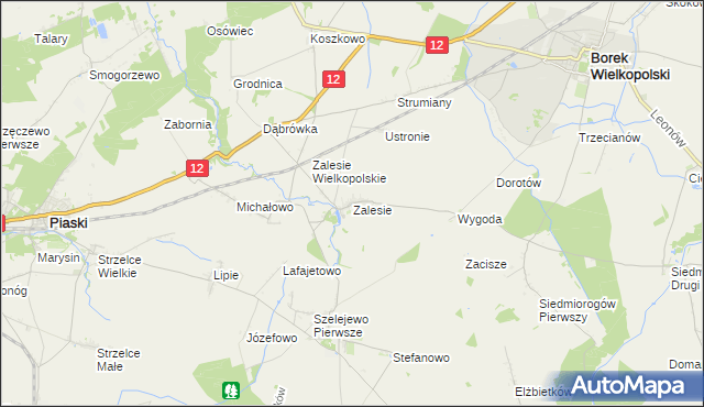 mapa Zalesie gmina Borek Wielkopolski, Zalesie gmina Borek Wielkopolski na mapie Targeo