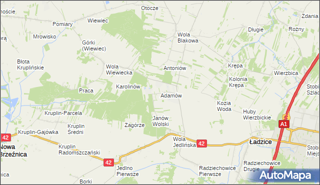 mapa Adamów gmina Ładzice, Adamów gmina Ładzice na mapie Targeo
