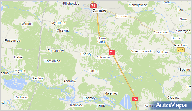 mapa Antoniów gmina Żarnów, Antoniów gmina Żarnów na mapie Targeo