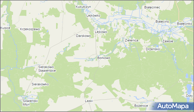 mapa Borkowo gmina Malechowo, Borkowo gmina Malechowo na mapie Targeo
