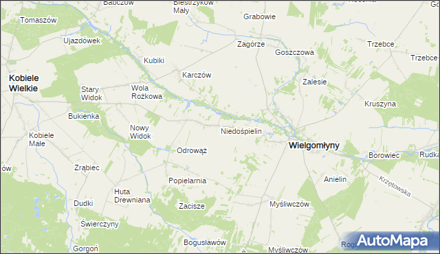 mapa Niedośpielin, Niedośpielin na mapie Targeo