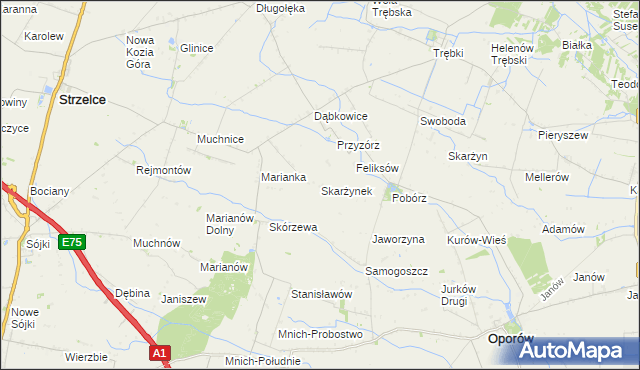 mapa Skarżynek gmina Oporów, Skarżynek gmina Oporów na mapie Targeo