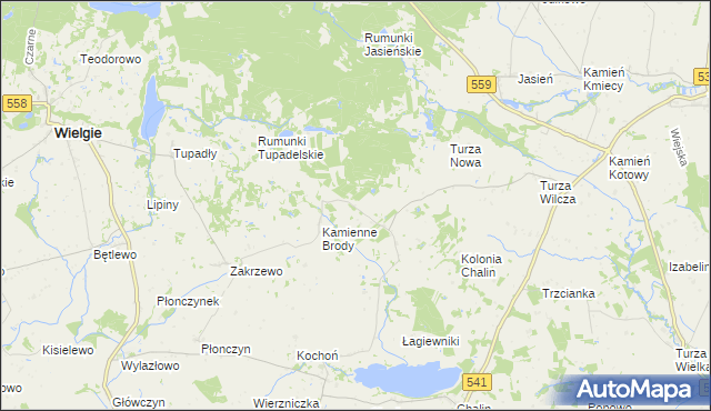 mapa Borowo gmina Tłuchowo, Borowo gmina Tłuchowo na mapie Targeo