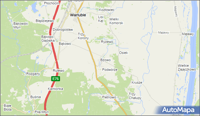 mapa Bzowo gmina Warlubie, Bzowo gmina Warlubie na mapie Targeo