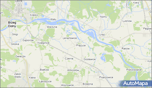 mapa Prężyce, Prężyce na mapie Targeo