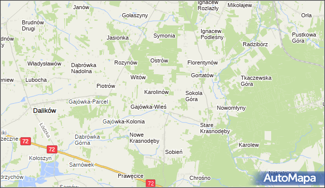 mapa Anastazew gmina Parzęczew, Anastazew gmina Parzęczew na mapie Targeo