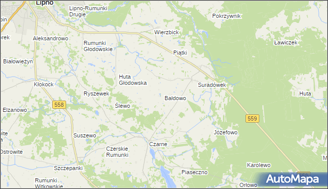 mapa Bałdowo gmina Wielgie, Bałdowo gmina Wielgie na mapie Targeo