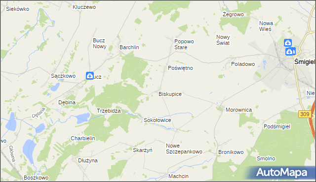 mapa Biskupice gmina Przemęt, Biskupice gmina Przemęt na mapie Targeo