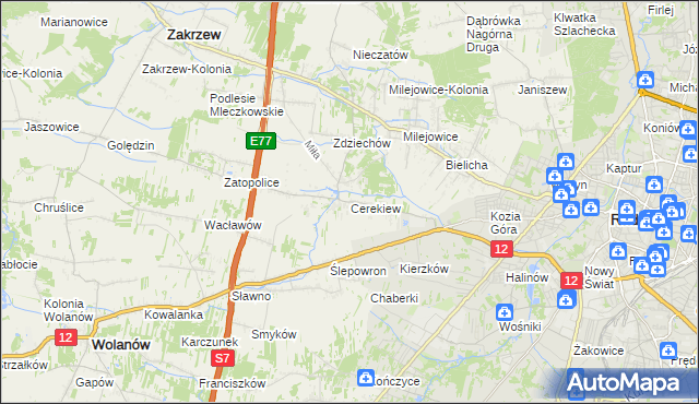 mapa Cerekiew gmina Zakrzew, Cerekiew gmina Zakrzew na mapie Targeo