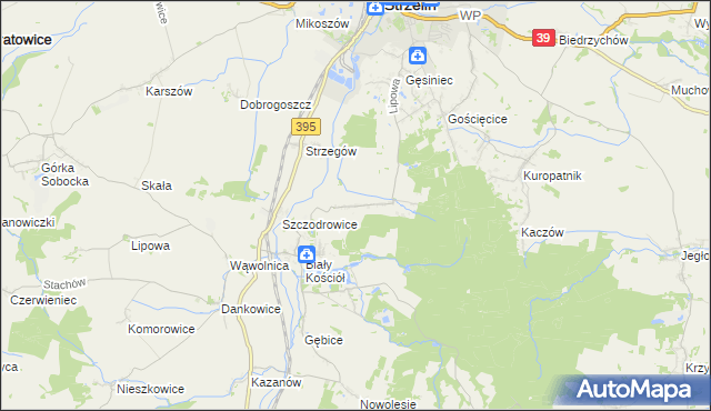 mapa Dębniki gmina Strzelin, Dębniki gmina Strzelin na mapie Targeo