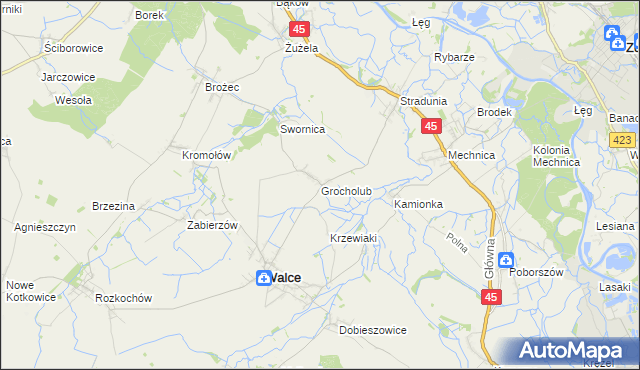 mapa Grocholub, Grocholub na mapie Targeo