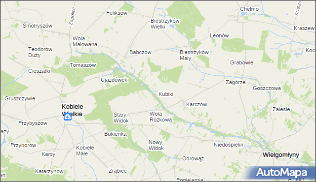 mapa Kubiki gmina Wielgomłyny, Kubiki gmina Wielgomłyny na mapie Targeo