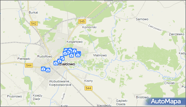 mapa Malinowo gmina Działdowo, Malinowo gmina Działdowo na mapie Targeo