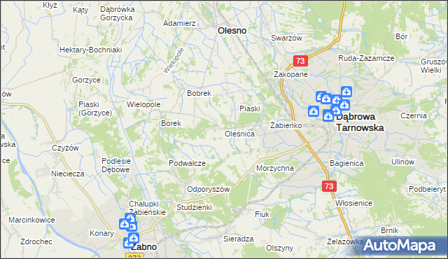 mapa Oleśnica gmina Olesno, Oleśnica gmina Olesno na mapie Targeo