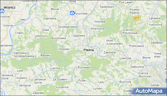 mapa Pleśna powiat tarnowski, Pleśna powiat tarnowski na mapie Targeo