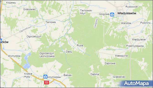 mapa Ruda gmina Tuliszków, Ruda gmina Tuliszków na mapie Targeo