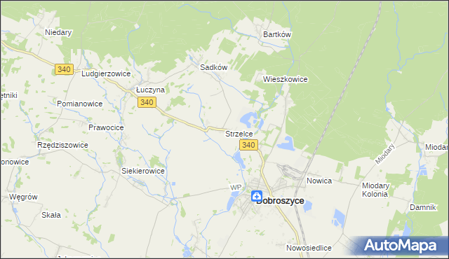 mapa Strzelce gmina Dobroszyce, Strzelce gmina Dobroszyce na mapie Targeo