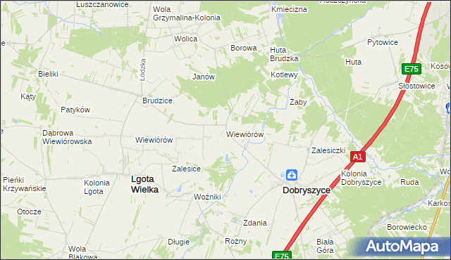 mapa Wiewiórów gmina Dobryszyce, Wiewiórów gmina Dobryszyce na mapie Targeo