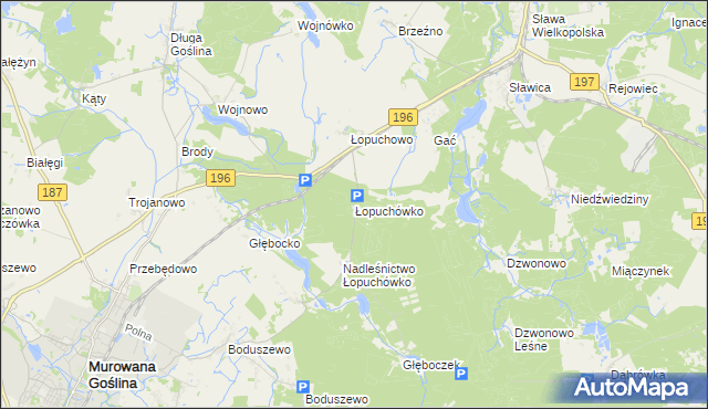 mapa Łopuchówko, Łopuchówko na mapie Targeo