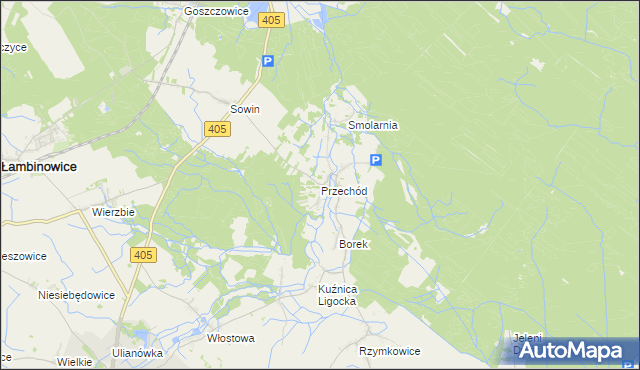 mapa Przechód gmina Korfantów, Przechód gmina Korfantów na mapie Targeo