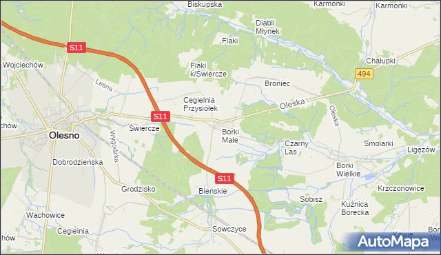 mapa Borki Małe gmina Olesno, Borki Małe gmina Olesno na mapie Targeo