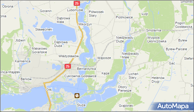 mapa Wąsosze gmina Ślesin, Wąsosze gmina Ślesin na mapie Targeo