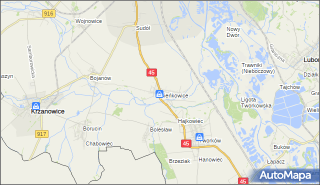 mapa Bieńkowice gmina Krzyżanowice, Bieńkowice gmina Krzyżanowice na mapie Targeo
