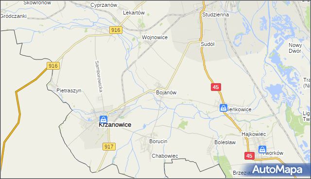 mapa Bojanów gmina Krzanowice, Bojanów gmina Krzanowice na mapie Targeo