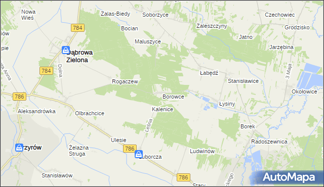 mapa Borowce gmina Dąbrowa Zielona, Borowce gmina Dąbrowa Zielona na mapie Targeo