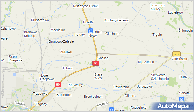 mapa Goślice, Goślice na mapie Targeo