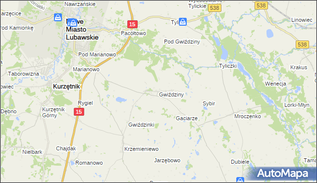 mapa Gwiździny gmina Nowe Miasto Lubawskie, Gwiździny gmina Nowe Miasto Lubawskie na mapie Targeo
