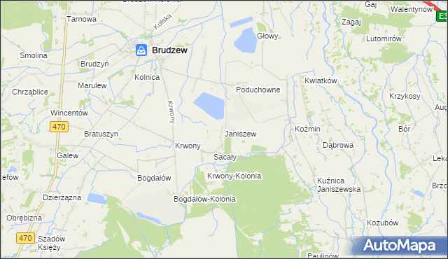 mapa Janiszew gmina Brudzew, Janiszew gmina Brudzew na mapie Targeo