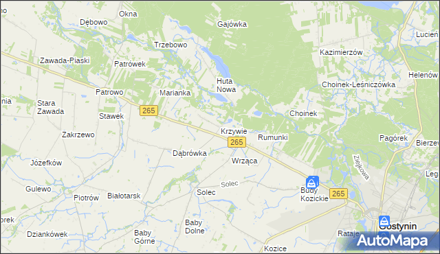 mapa Krzywie gmina Gostynin, Krzywie gmina Gostynin na mapie Targeo
