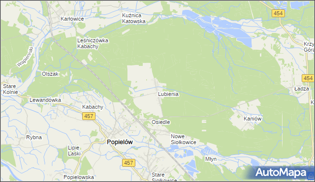 mapa Lubienia gmina Popielów, Lubienia gmina Popielów na mapie Targeo